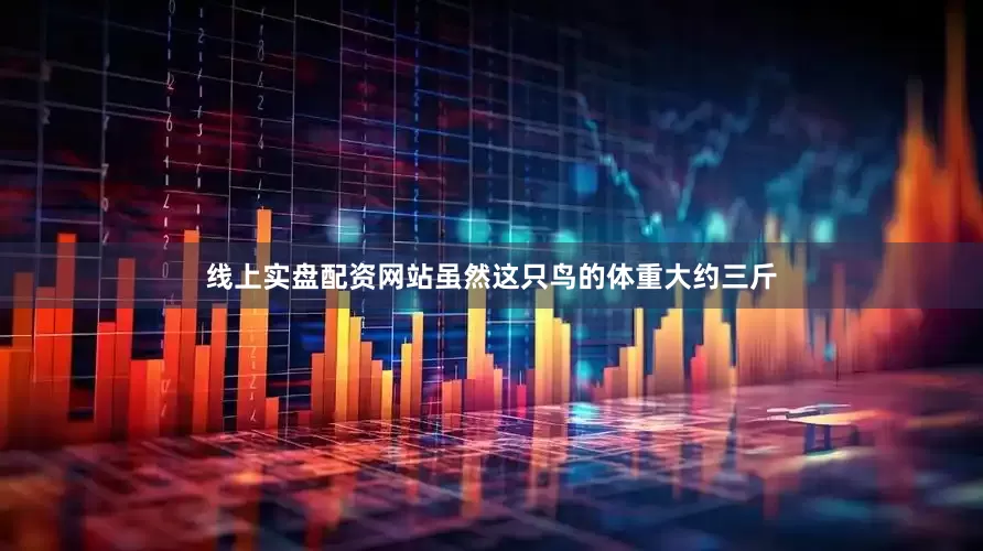 线上实盘配资网站虽然这只鸟的体重大约三斤