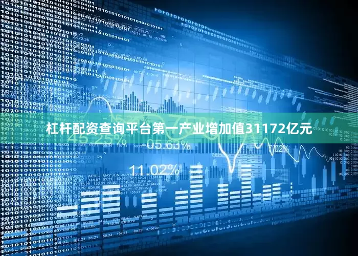 杠杆配资查询平台第一产业增加值31172亿元