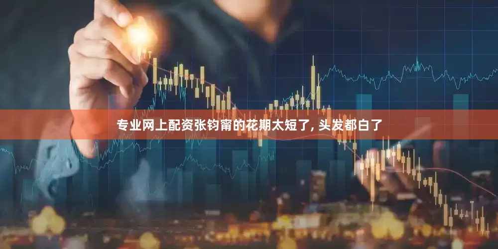 专业网上配资张钧甯的花期太短了, 头发都白了