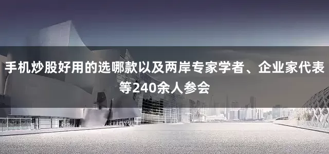 手机炒股好用的选哪款以及两岸专家学者、企业家代表等240余人参会